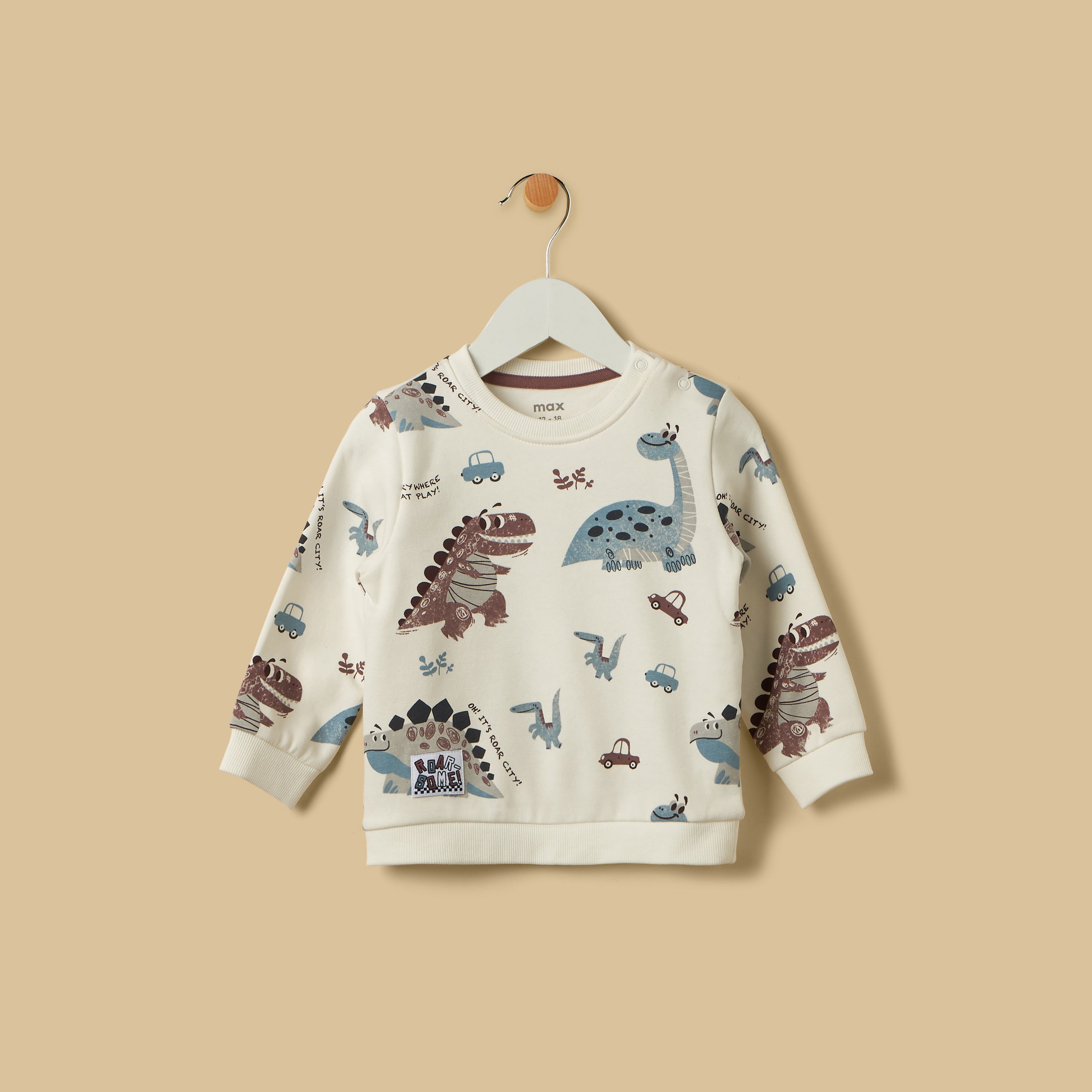 Dinosaur Print Terry Sweatshirt with Joggers