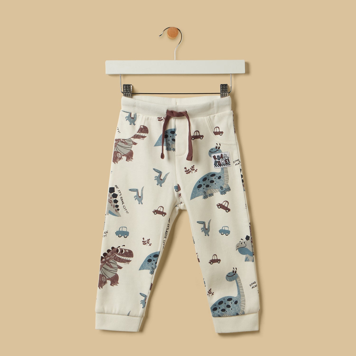 Dinosaur Print Terry Sweatshirt with Joggers