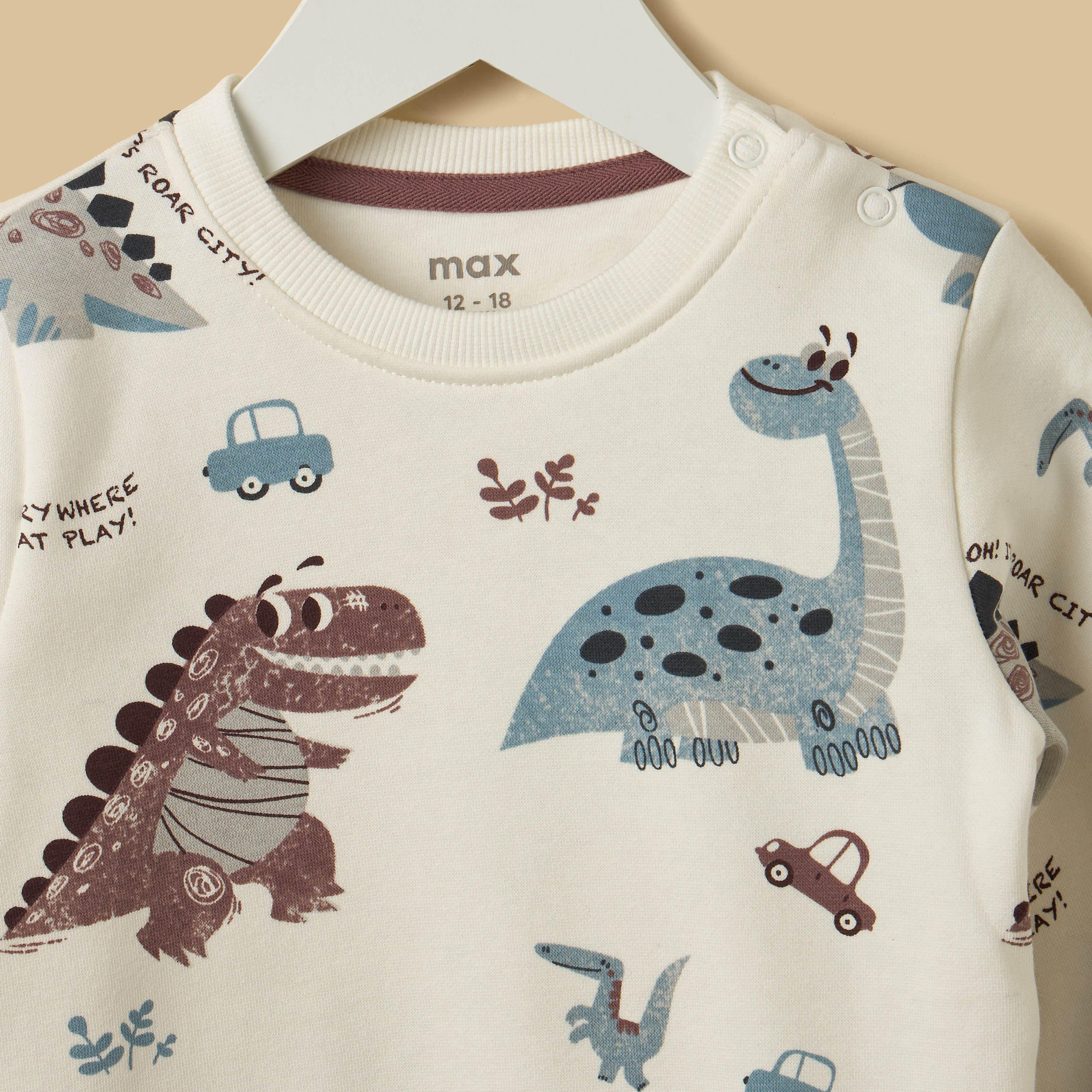 Dinosaur Print Terry Sweatshirt with Joggers