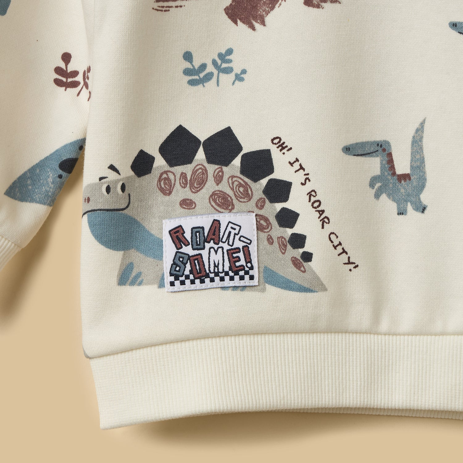 Dinosaur Print Terry Sweatshirt with Joggers