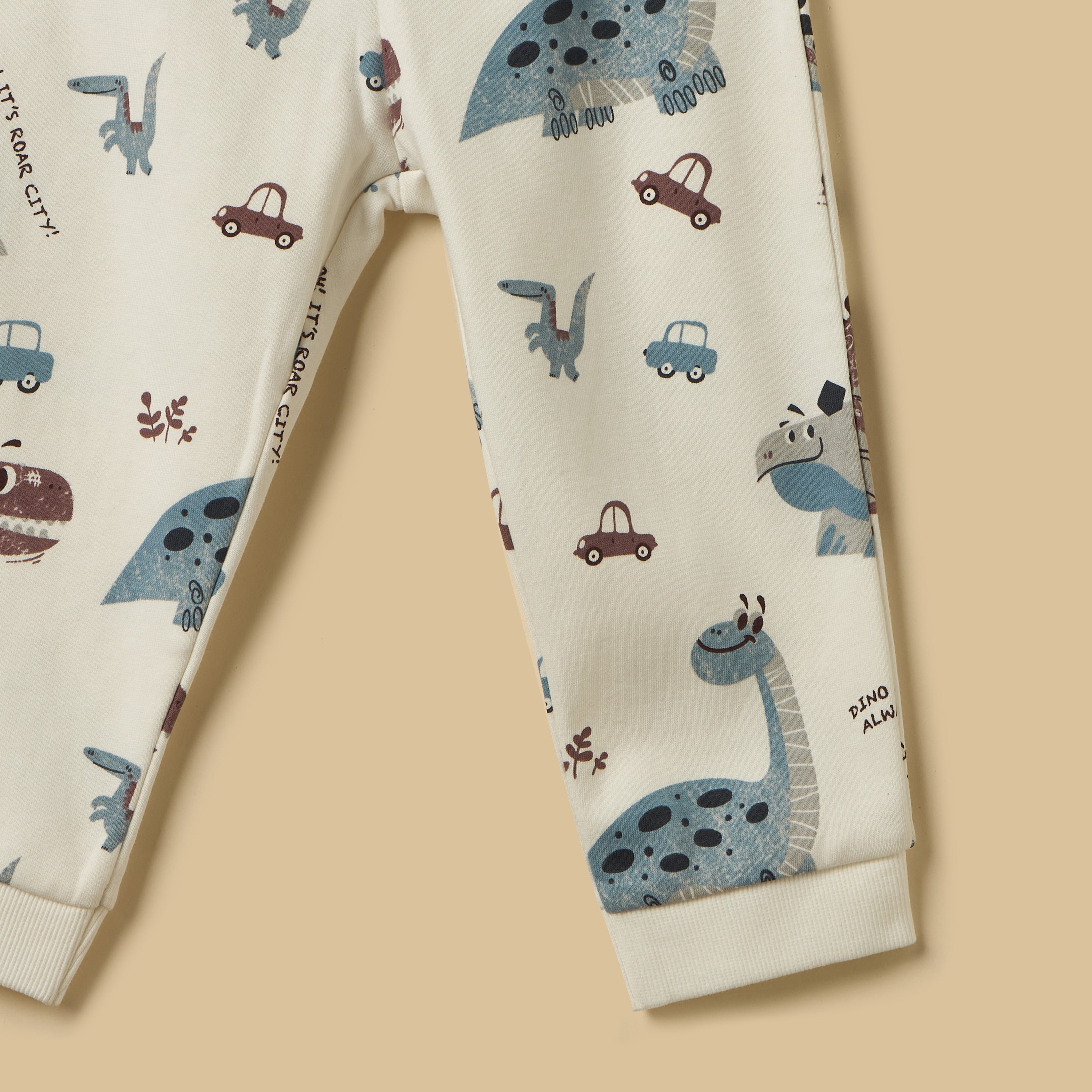 Dinosaur Print Terry Sweatshirt with Joggers