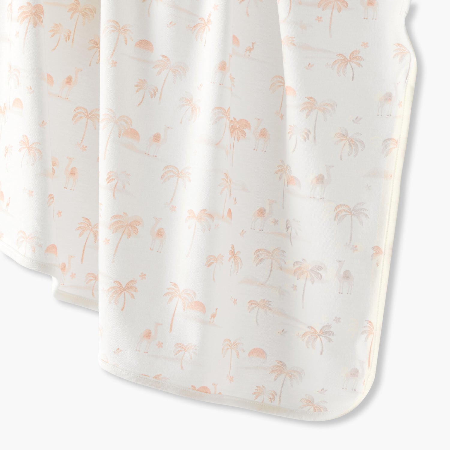 Juniors Receiving Blanket with Desert Print