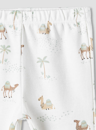 Juniors Cotton Collared Neck Long Sleeve Pyjama Set with Camel Print-baby-boys-clothing-nightwear-pyjamasets-image-6