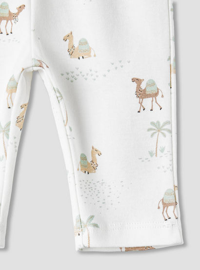 Juniors Cotton Collared Neck Long Sleeve Pyjama Set with Camel Print-baby-boys-clothing-nightwear-pyjamasets-image-8