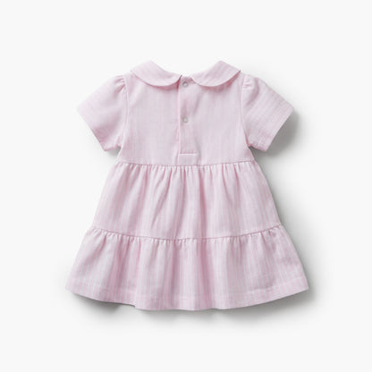 Juniors Peter Pan Collar Short Sleeves A-line Dress with Stripes