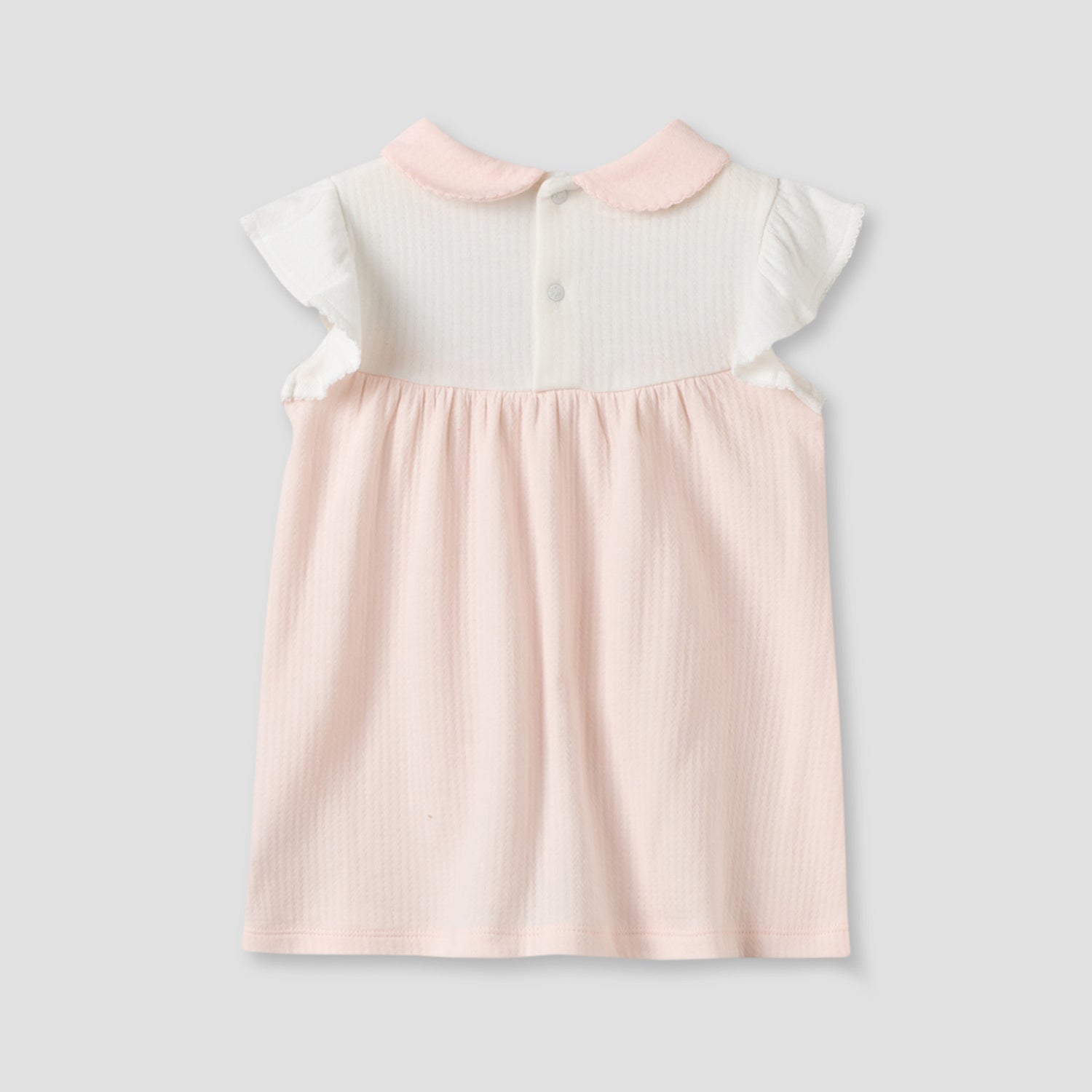 Peter Pan Collar Sleeveless Knee Length Dress with Embroidery