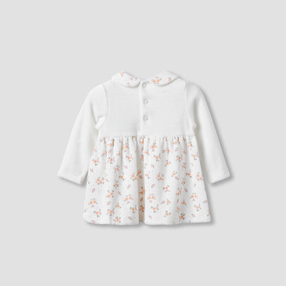 Juniors Girls A-line Dress with Floral Print - Long Sleeves - Peter Pan Collar