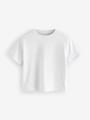 Multi T-Shirts 7 Pack (3mths-7yrs) - Size 3-6 Months (62-68cm)