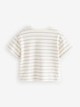 Multi T-Shirts 7 Pack (3mths-7yrs) - Size 3-6 Months (62-68cm)