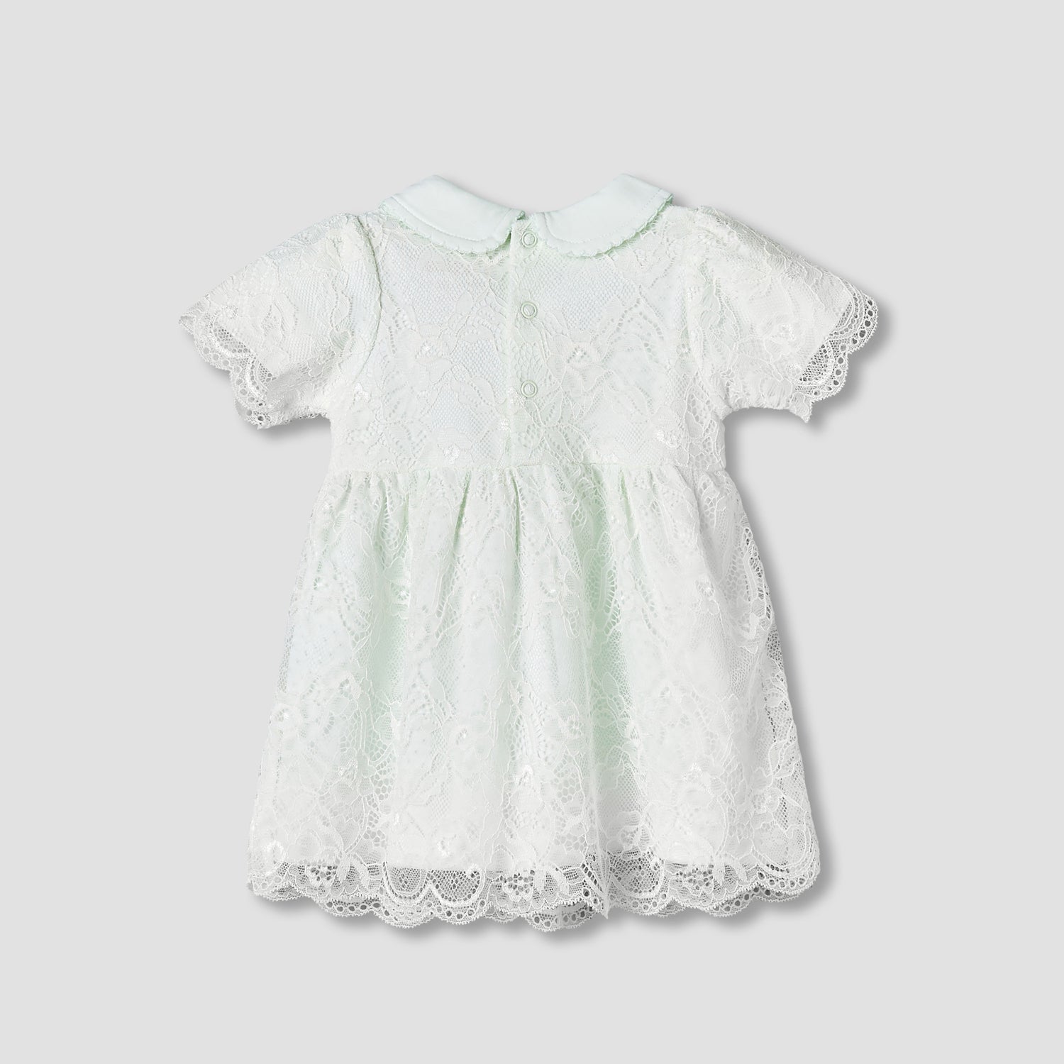 Giggles Peter Pan Collar Short Sleeves A-Line Dress with Lace Detail