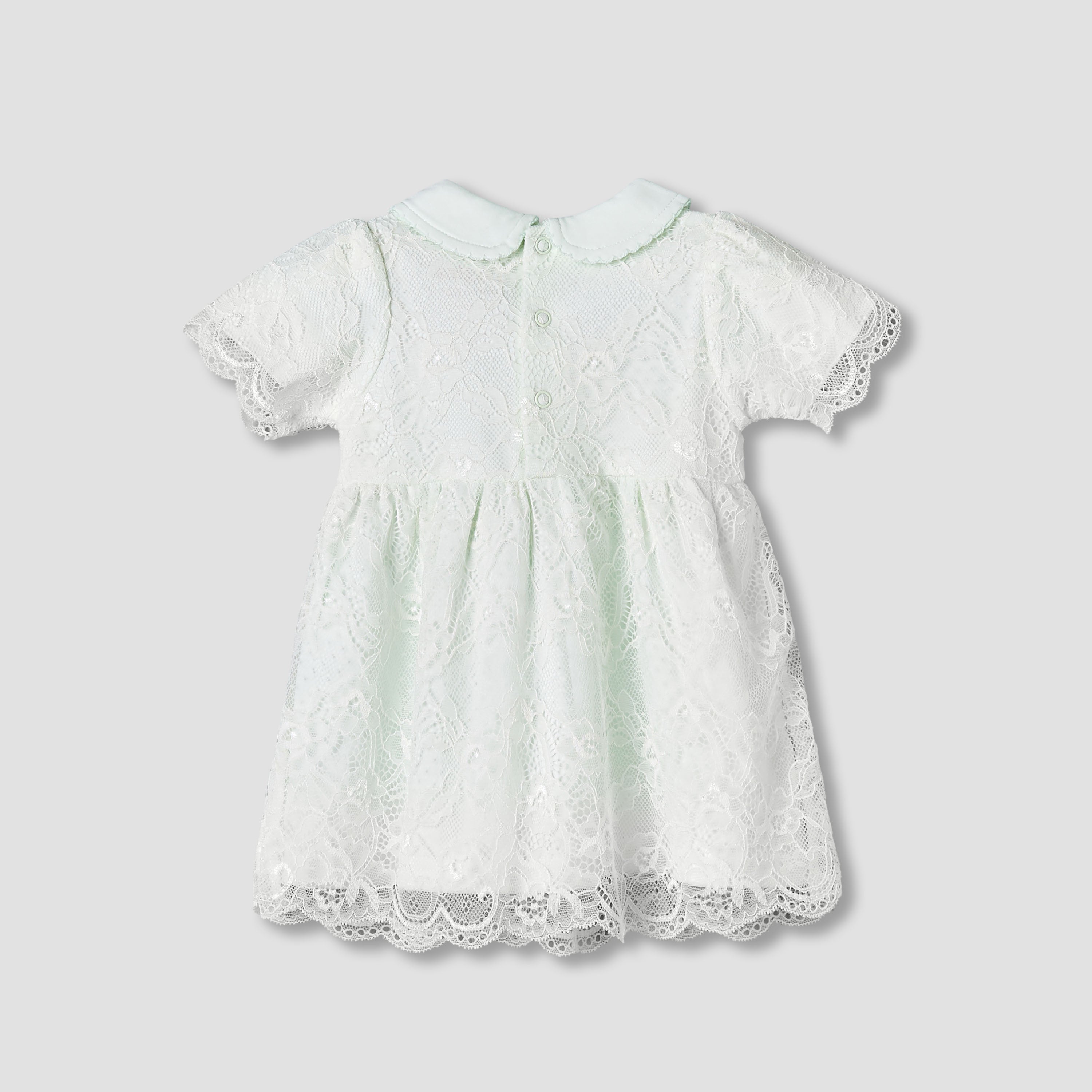 Giggles Peter Pan Collar Short Sleeves A-Line Dress with Lace Detail
