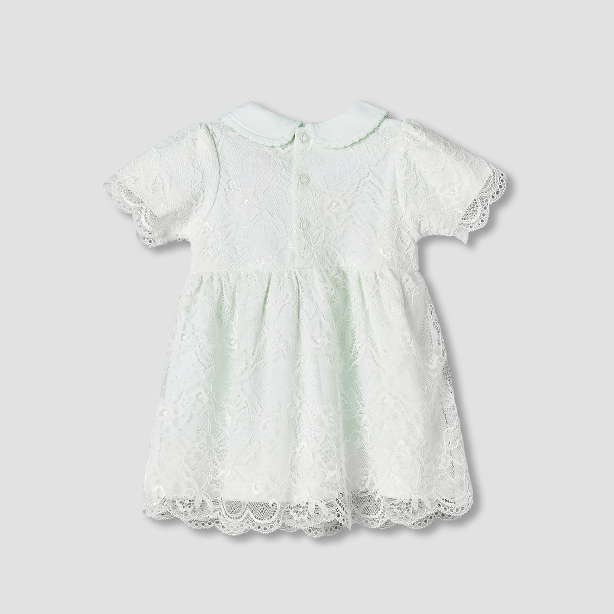 Giggles Peter Pan Collar Short Sleeves A-Line Dress with Lace Detail