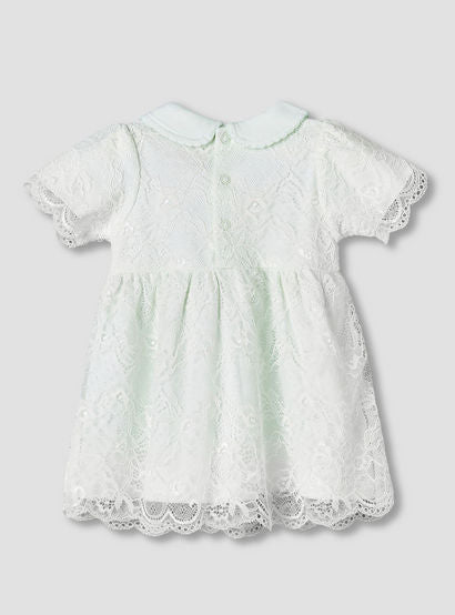 Giggles Peter Pan Collar Short Sleeves A-Line Dress with Lace Detail-baby-girls-clothing-dressesandjumpsuits-image-3