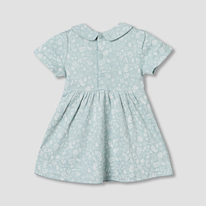 Juniors Peter Pan Collar Short Sleeve A-line Dress with Floral Print