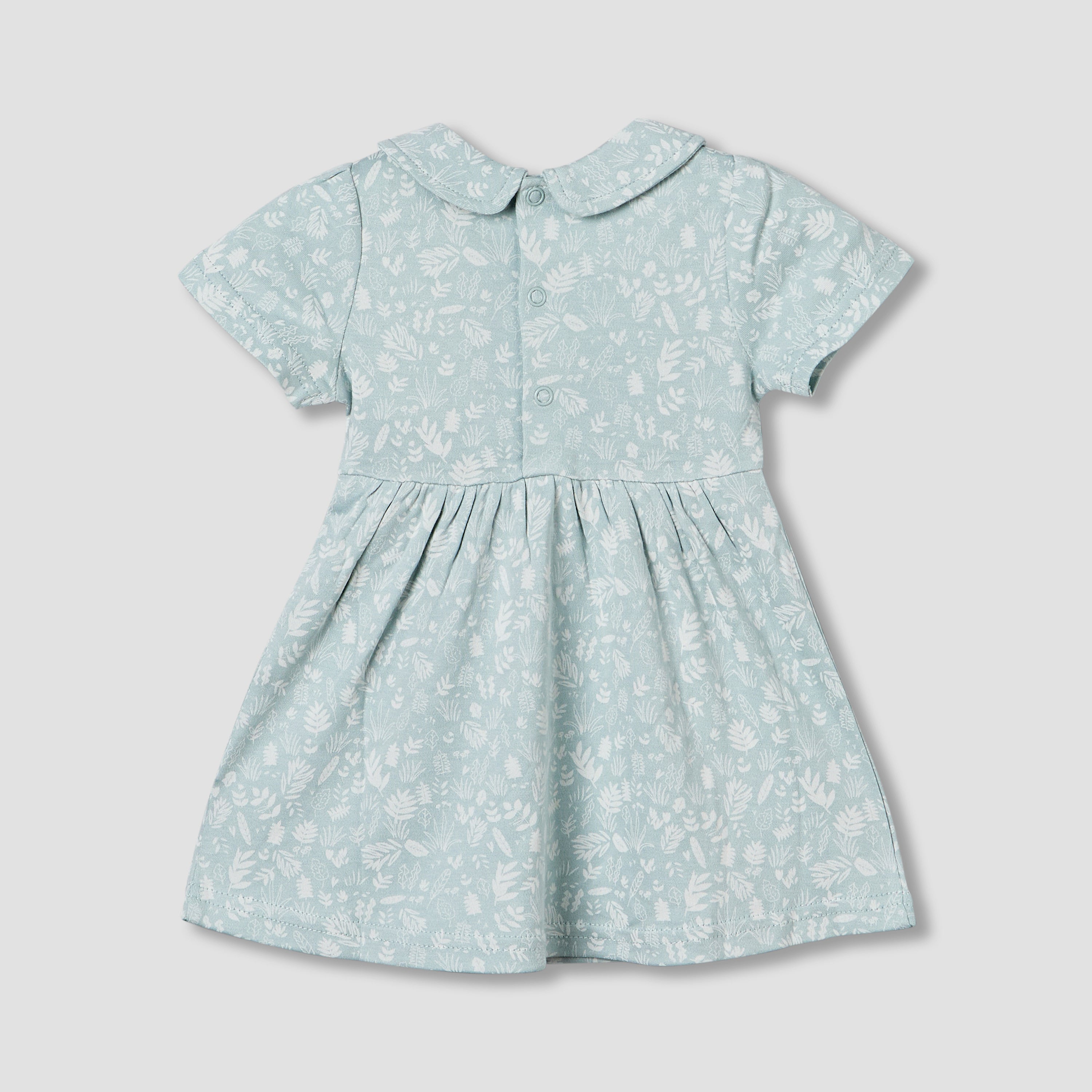 Juniors Peter Pan Collar Short Sleeve A-line Dress with Floral Print