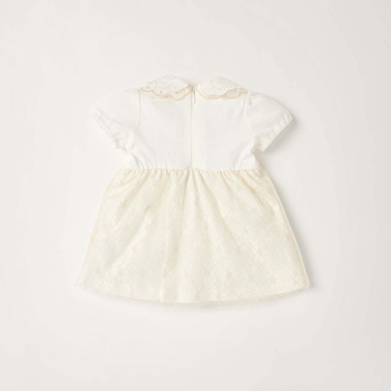 Giggles Peter Pan Collar Short Sleeves Knee Length A-line Dress with Floral Embroidary