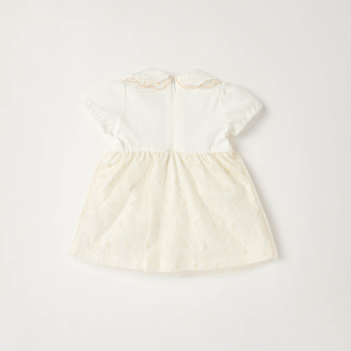 Giggles Peter Pan Collar Short Sleeves Knee Length A-line Dress with Floral Embroidary