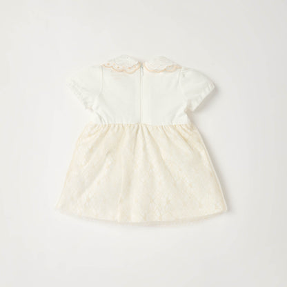 Giggles Peter Pan Collar Short Sleeves Knee Length A-line Dress with Floral Embroidary