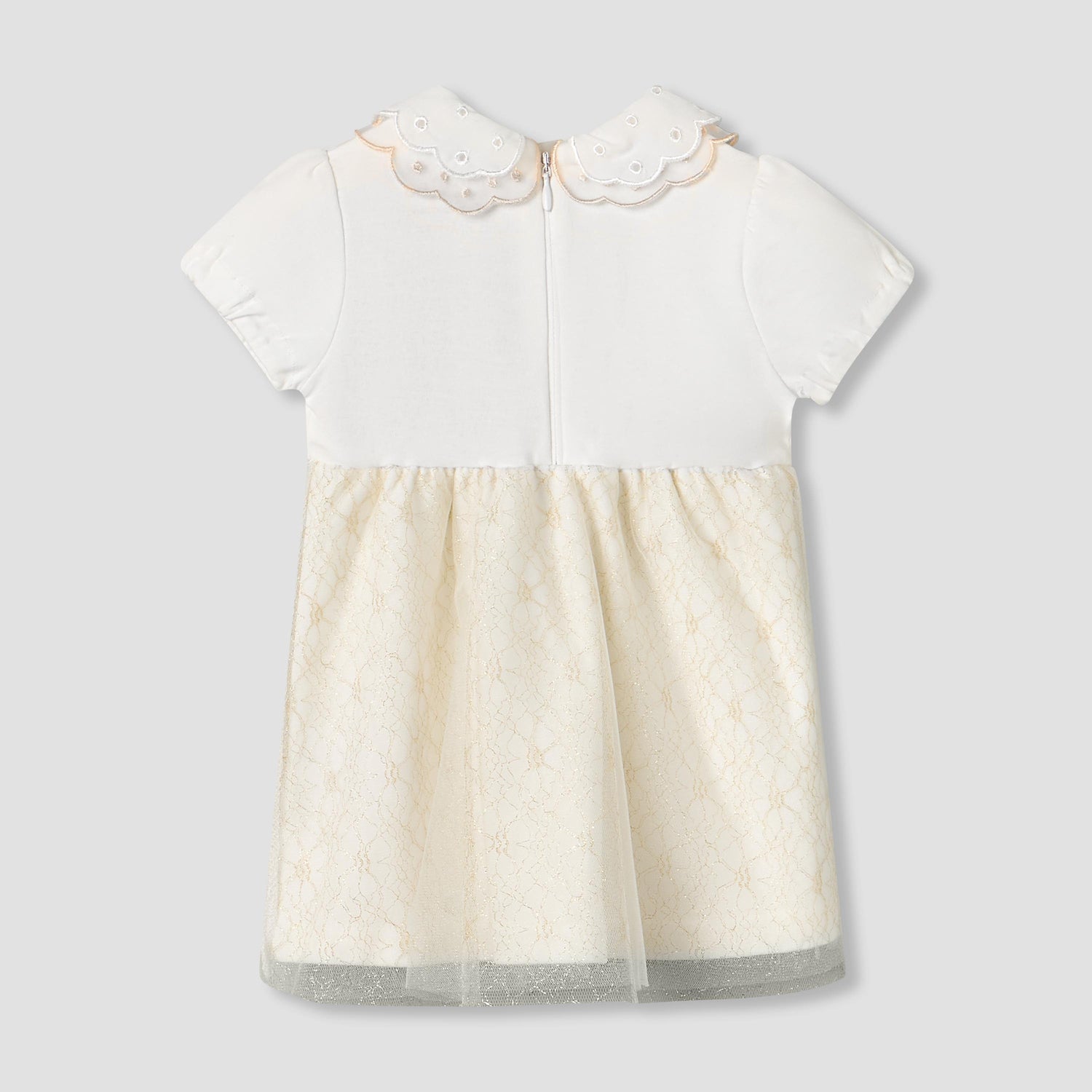Giggles Peter Pan Collar Short Sleeves Knee Length A-line Dress with Floral Embroidary
