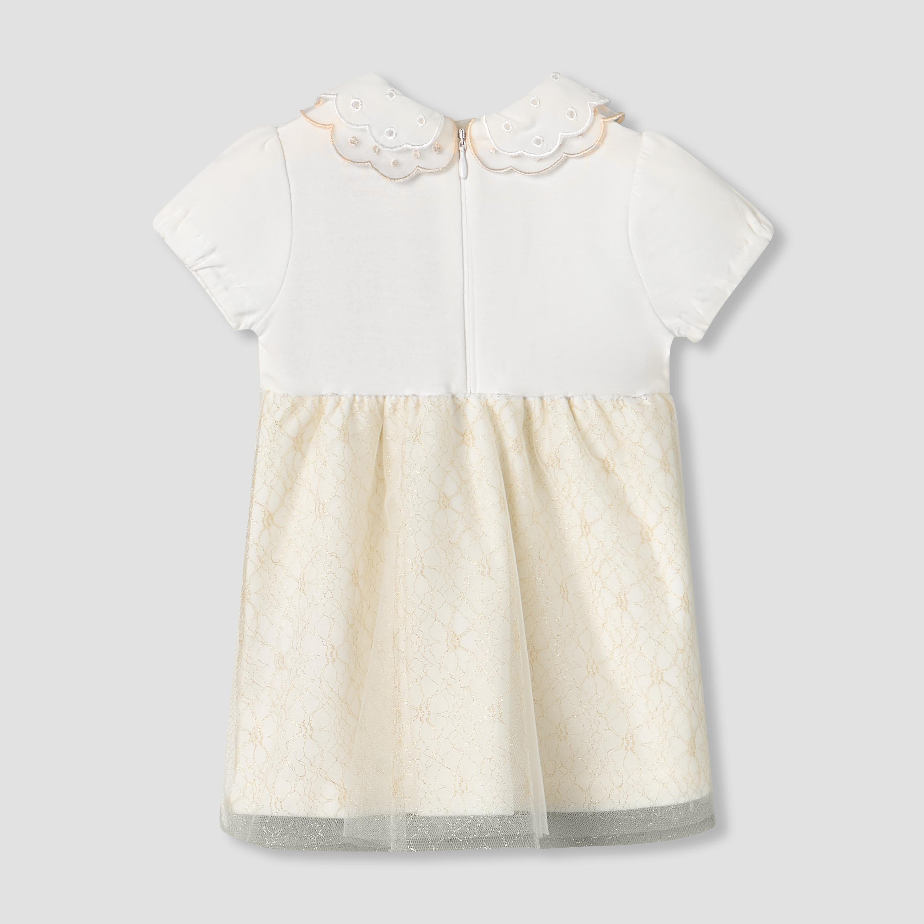 Giggles Peter Pan Collar Short Sleeves Knee Length A-line Dress with Floral Embroidary