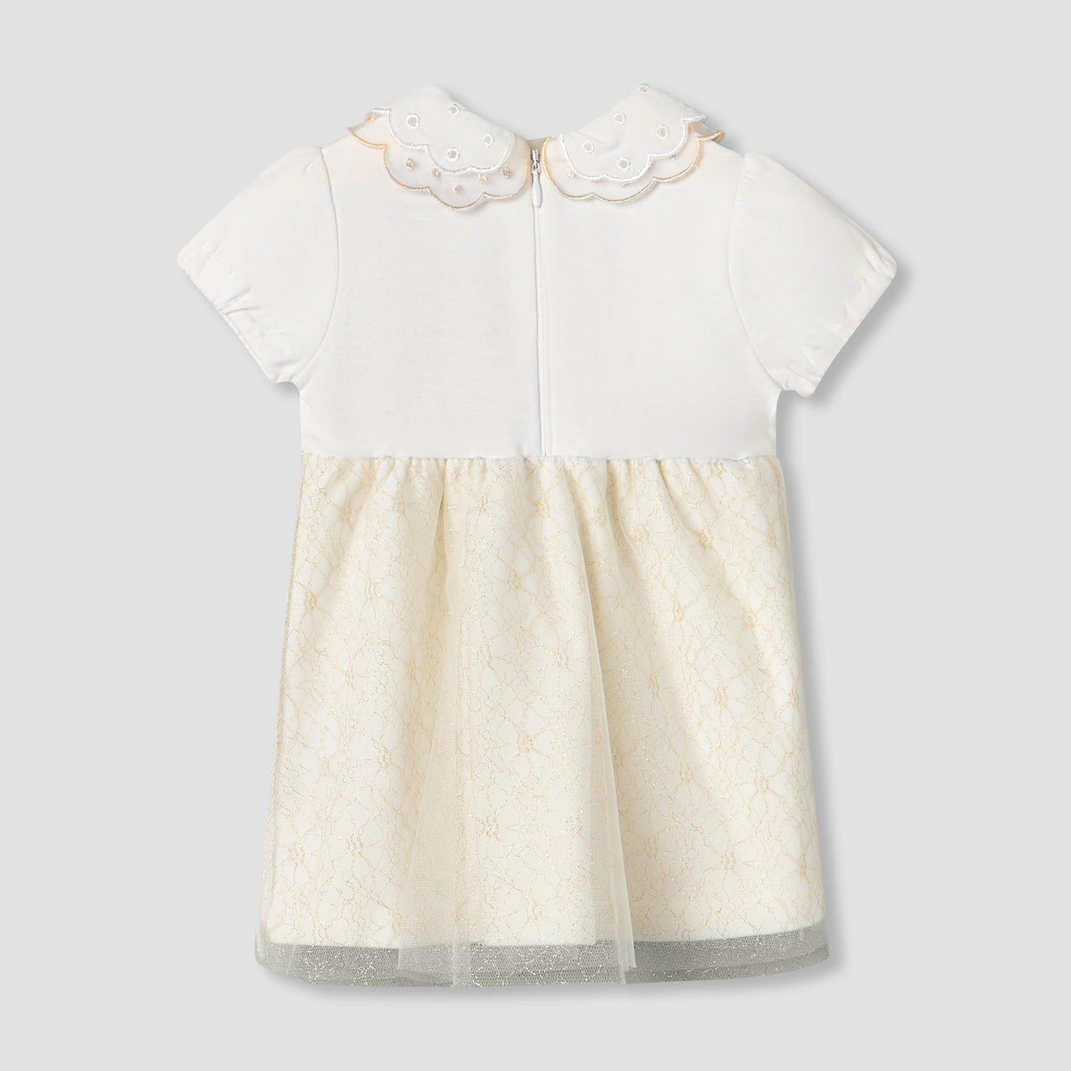 Giggles Peter Pan Collar Short Sleeves Knee Length A-line Dress with Floral Embroidary