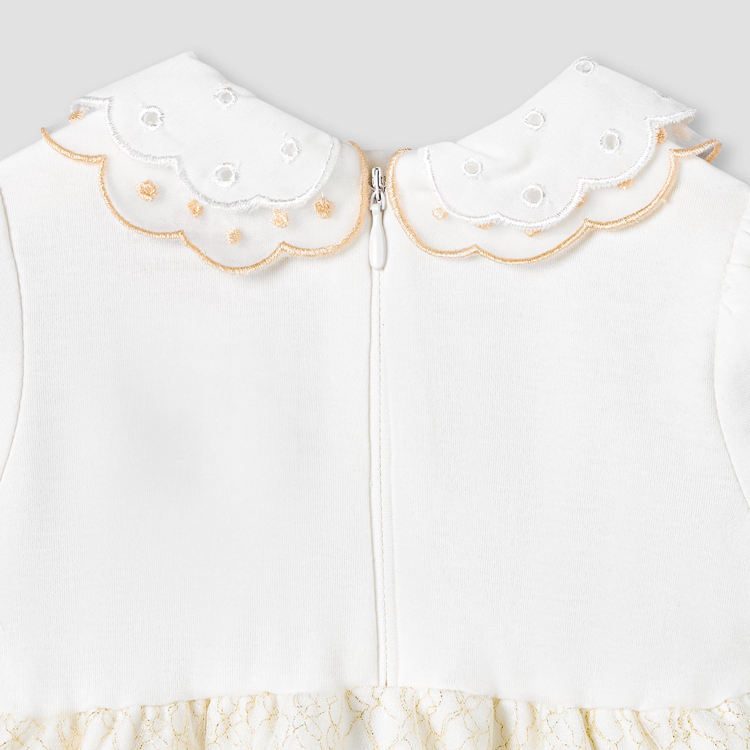 Giggles Peter Pan Collar Short Sleeves Knee Length A-line Dress with Floral Embroidary