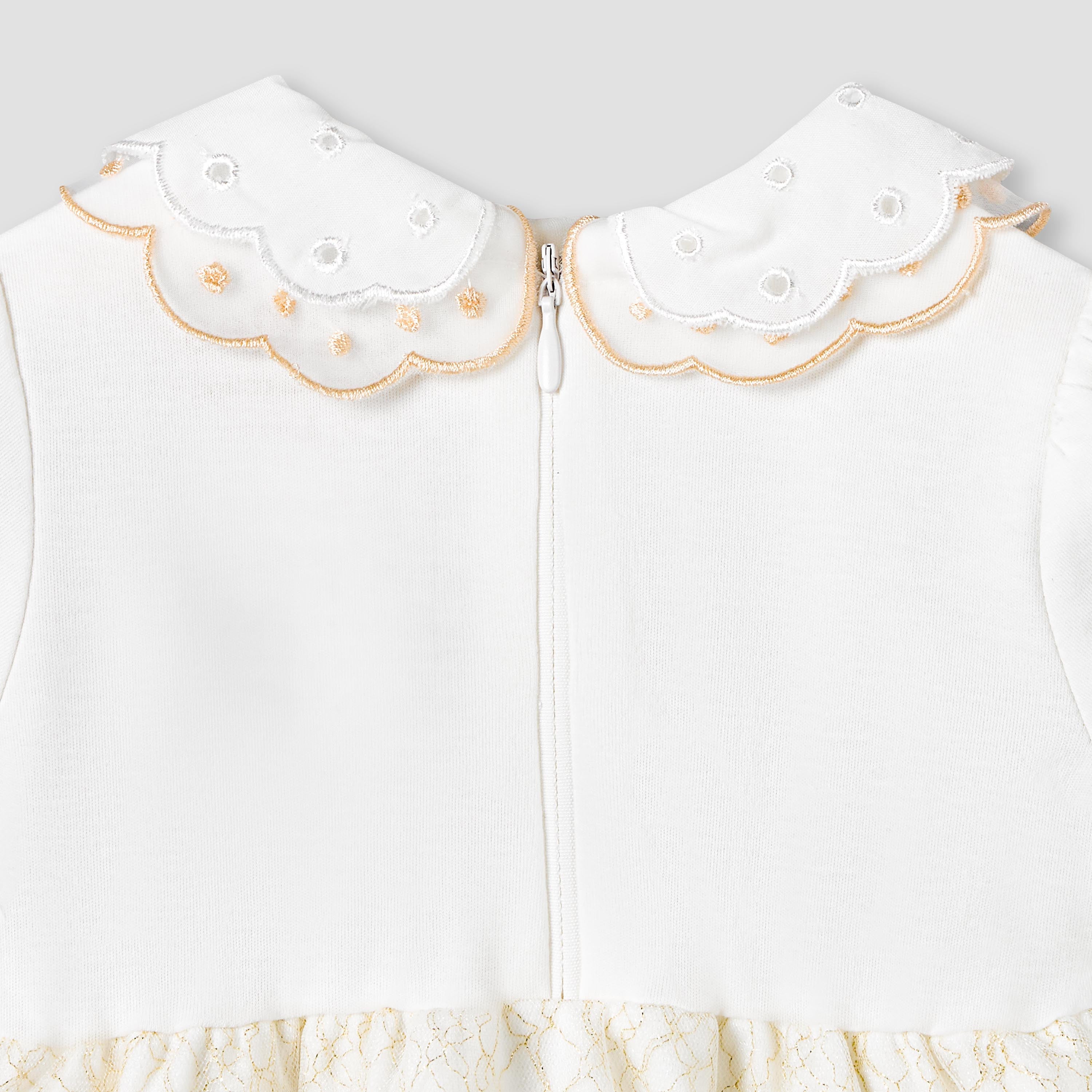 Giggles Peter Pan Collar Short Sleeves Knee Length A-line Dress with Floral Embroidary