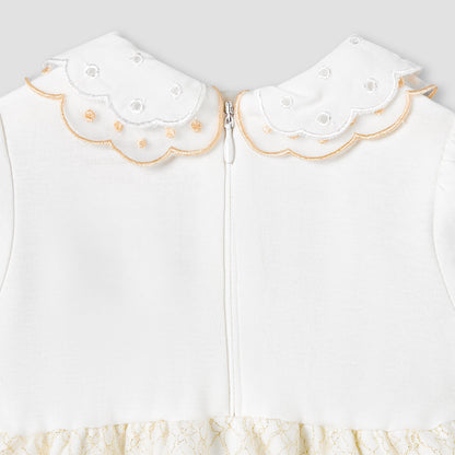 Giggles Peter Pan Collar Short Sleeves Knee Length A-line Dress with Floral Embroidary