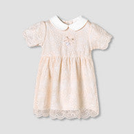 Giggles Peter Pan Collar Short Sleeves A-Line Dress with Lace Detail-undefined-image-1