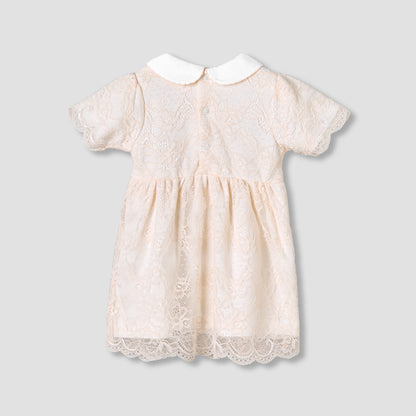 Giggles Peter Pan Collar Short Sleeves A-Line Dress with Lace Detail