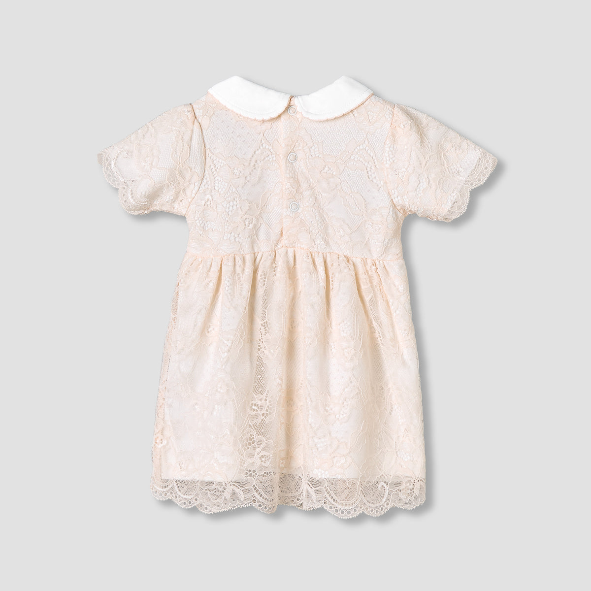 Giggles Peter Pan Collar Short Sleeves A-Line Dress with Lace Detail