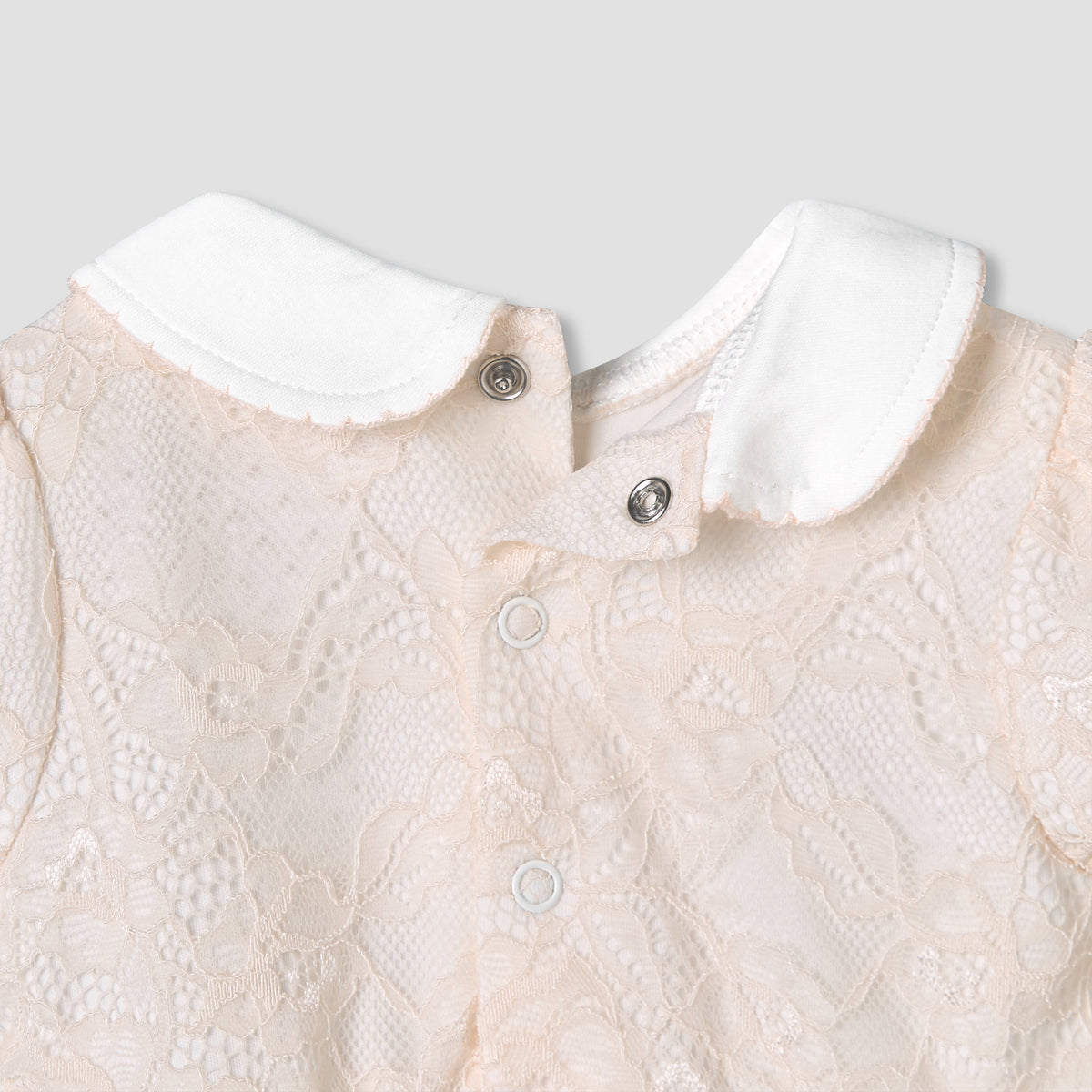Giggles Peter Pan Collar Short Sleeves A-Line Dress with Lace Detail