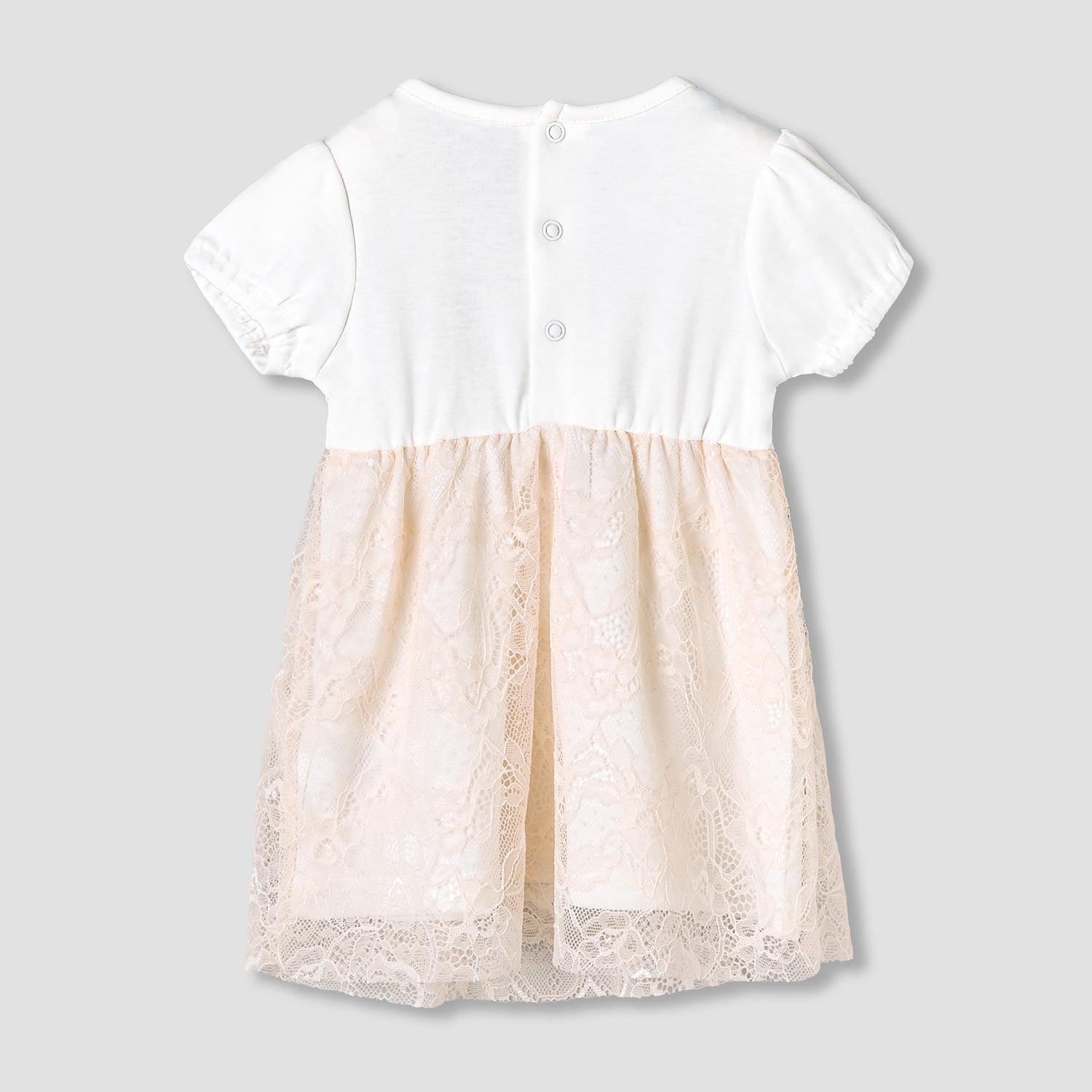 Giggles Round Neck Short Sleeves A-Line Dress with Lace Detail
