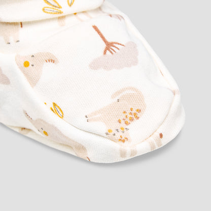 Pack of 2 Juniors Booties with Assorted Design