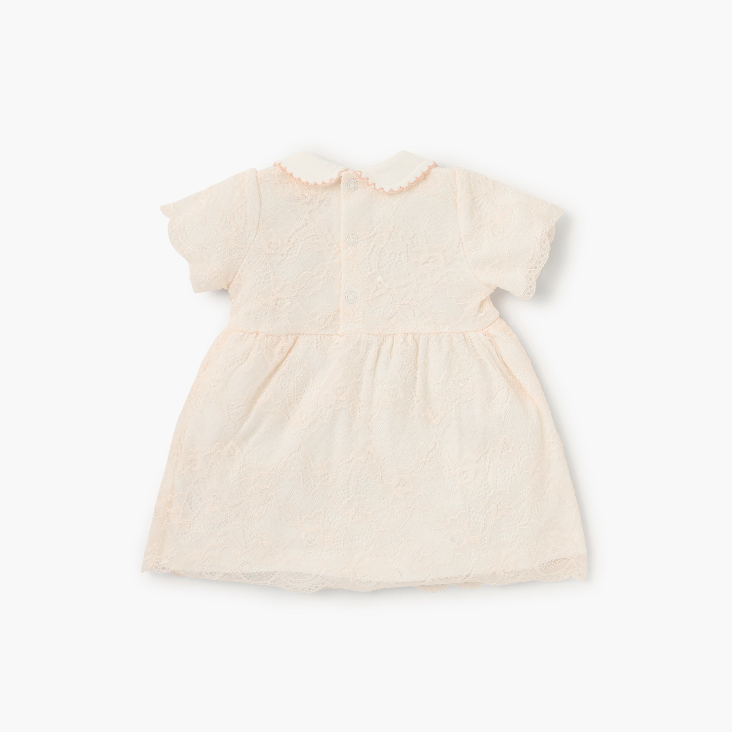 Giggles Lace Detail Dress with Peter Pan Collar and Short Sleeves