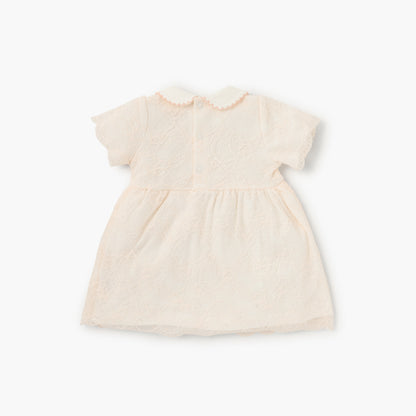 Giggles Lace Detail Dress with Peter Pan Collar and Short Sleeves
