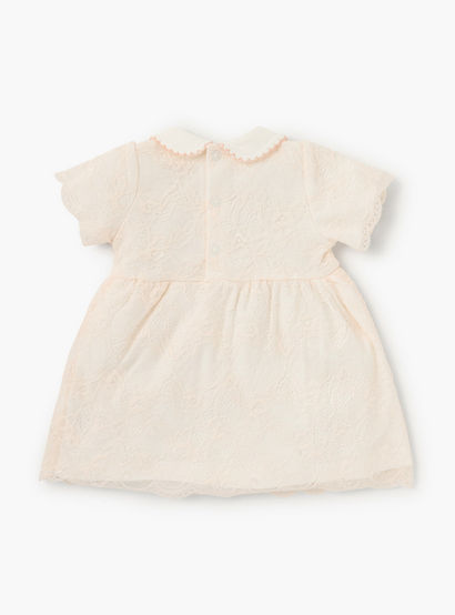 Giggles Lace Detail Dress with Peter Pan Collar and Short Sleeves-baby-girls-clothing-dressesandjumpsuits-image-2