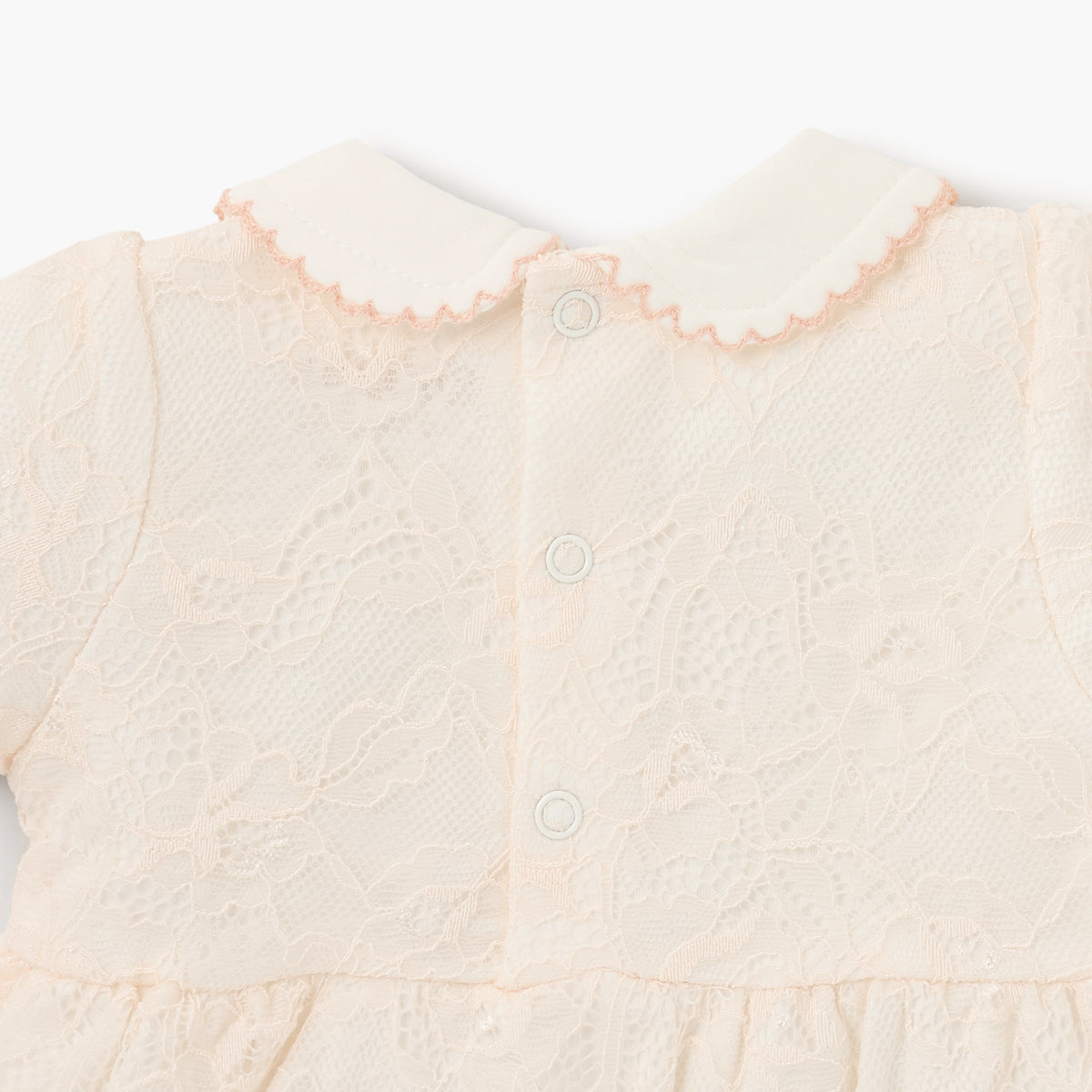 Giggles Lace Detail Dress with Peter Pan Collar and Short Sleeves