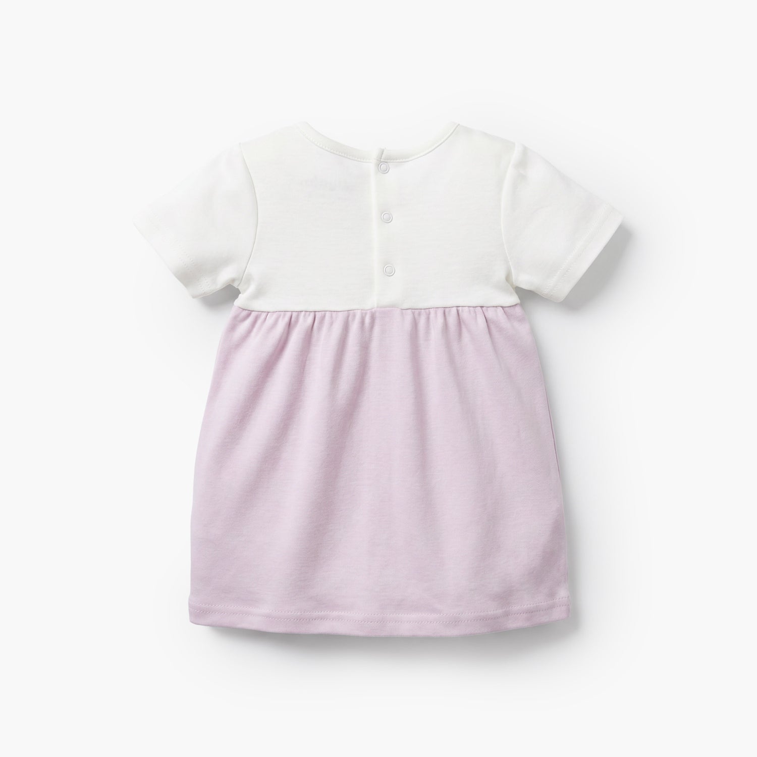Giggles Round Neck Short Sleeves Knee Length A-line Dress with Floral Embroidery