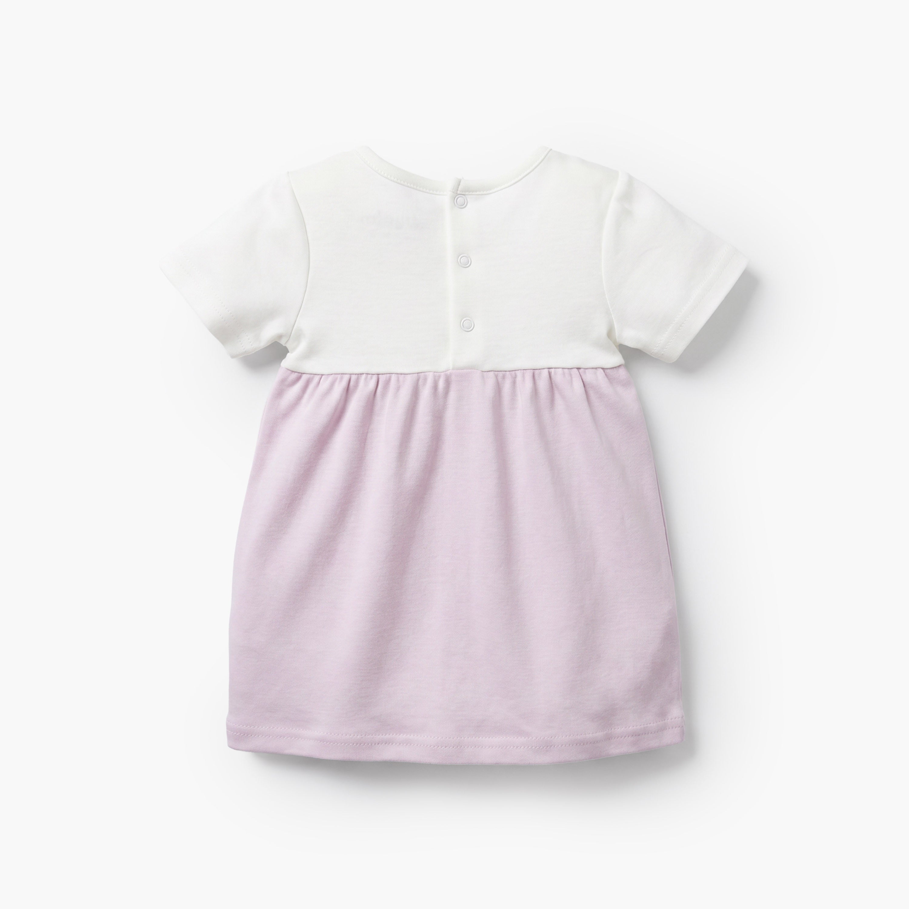 Giggles Round Neck Short Sleeves Knee Length A-line Dress with Floral Embroidery