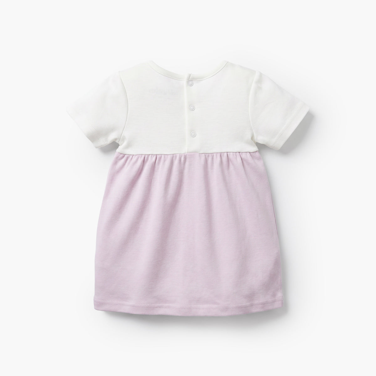 Giggles Round Neck Short Sleeves Knee Length A-line Dress with Floral Embroidery