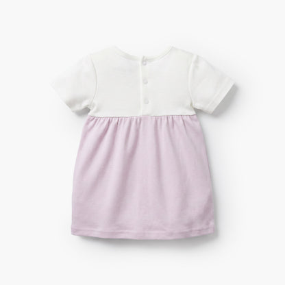 Giggles Round Neck Short Sleeves Knee Length A-line Dress with Floral Embroidery