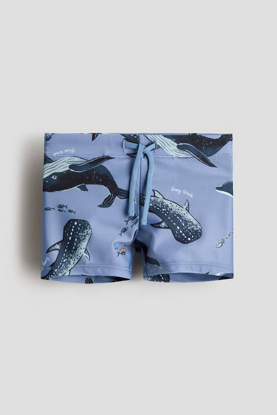 Printed swimming trunks - Blue Whales / 1.5-2 Years