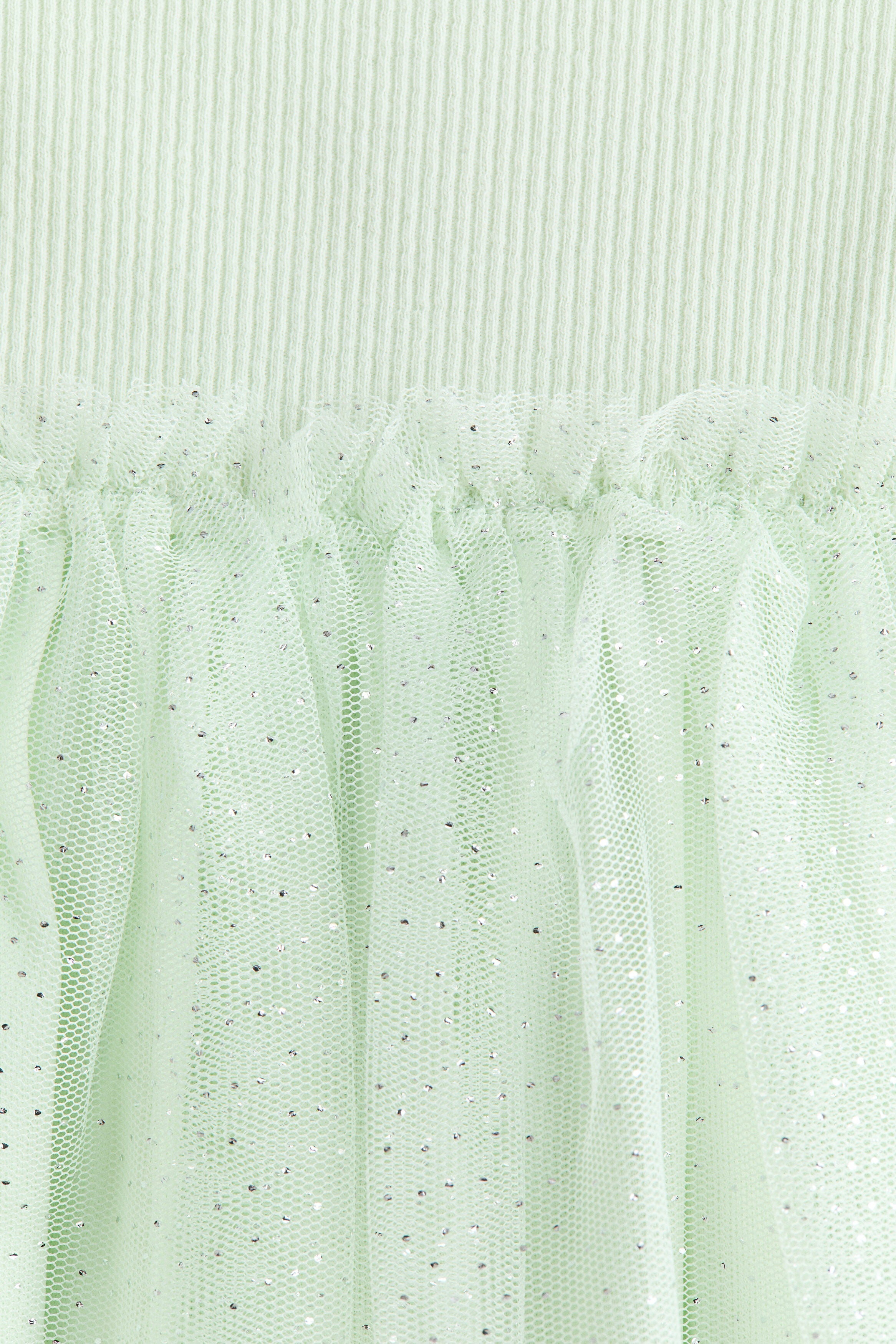 Tulle skirt dress