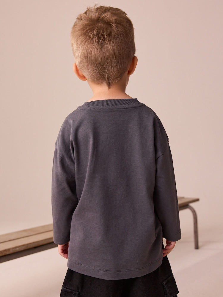 Charcoal Grey Long Sleeve Disney Cars T-Shirt (9mths-8yrs)
