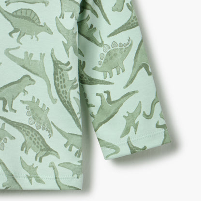 Juniors Dinosaur Print T-Shirt and Pyjama Set