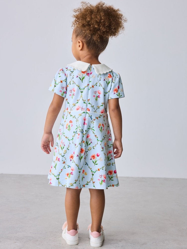 Baker by Ted Baker Blue Trellis Print Floral Ponte Dress