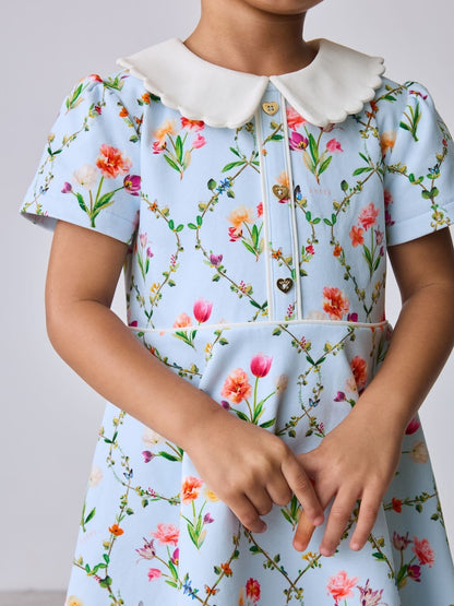 Baker by Ted Baker Blue Trellis Print Floral Ponte Dress