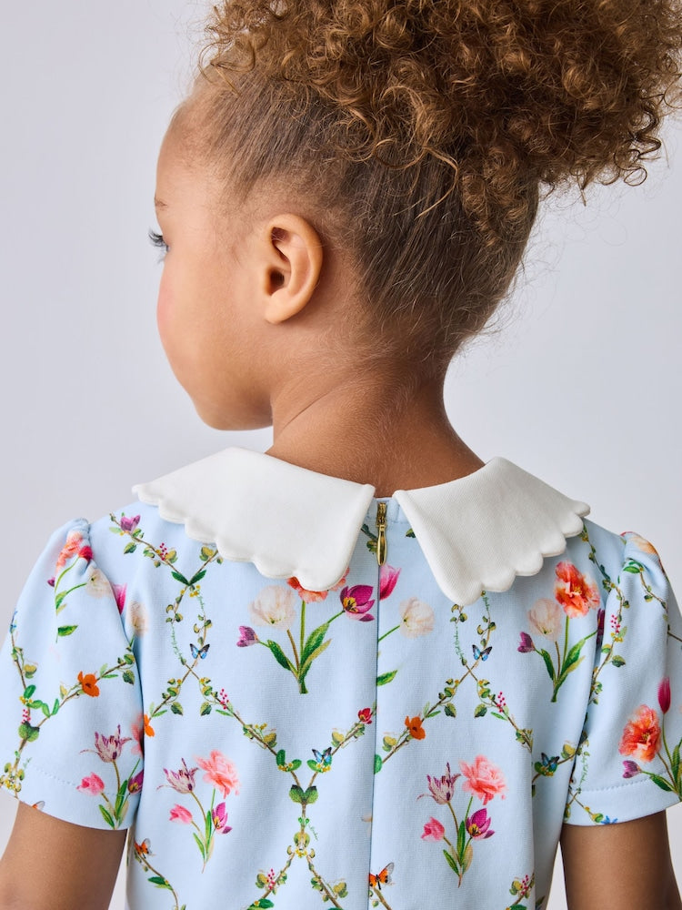 Baker by Ted Baker Blue Trellis Print Floral Ponte Dress