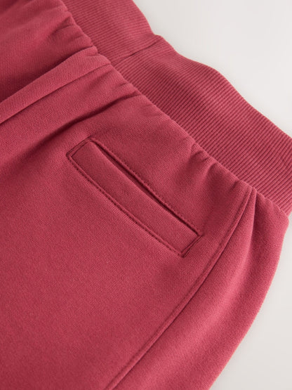 Baker by Ted Baker Red Sweatshirt and Joggers Set